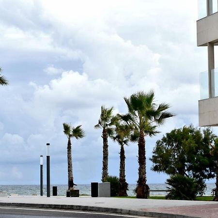 Estudio Gato Del Mar Torrevieja Dış mekan fotoğraf